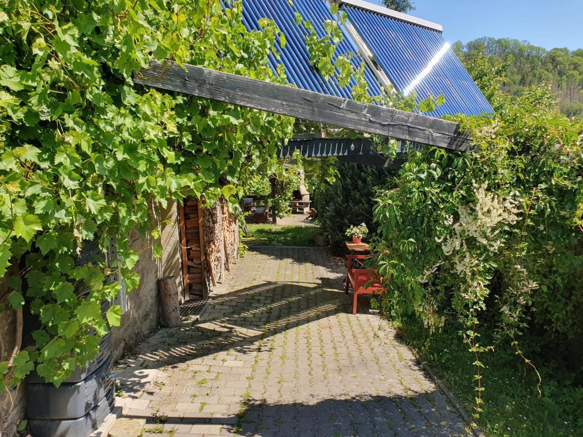 Das Gruene Haus Am Hexenstieg Rubeland Exterior photo